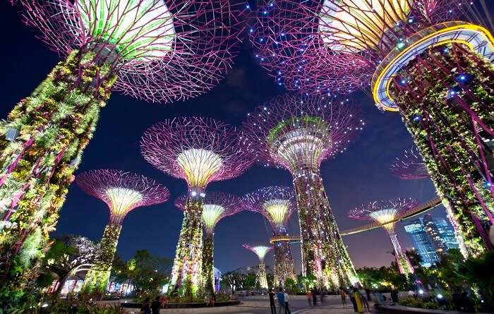 the beautiful gardens by the bay