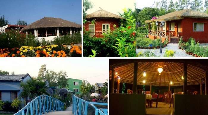 A collage of the 4 resorts in Sunderbans in West Bengal