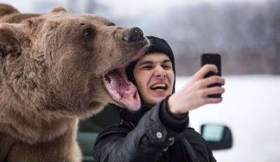 Bear selfies are banned at Lake Tahoe in California