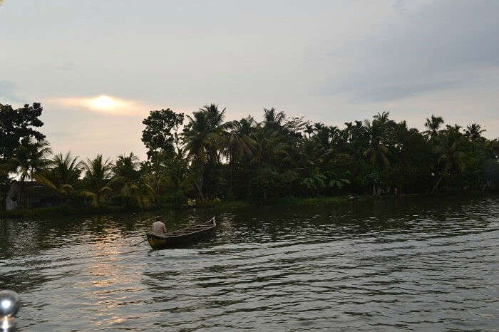 A picture of backwaters in Alleppey