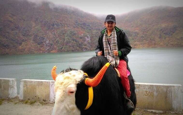 Balasubramanian on a Yak near Tsomgo Lake in Sikkim