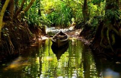 The secret backwater of Kerala