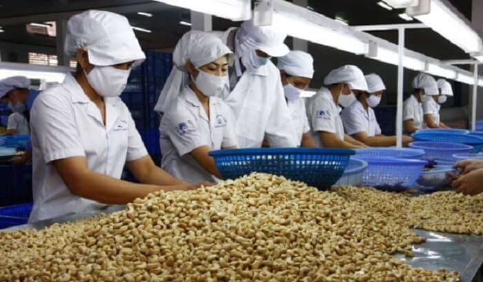 Cashew refining in Kerala