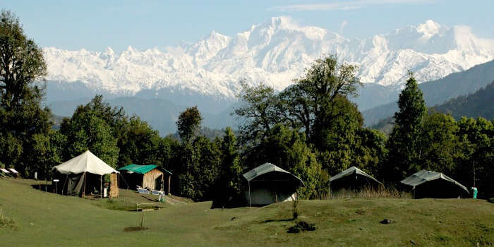 View of the snow-capped mountains from Chopta in Uttarakhand