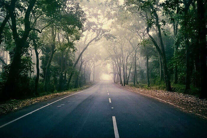 The Ghat Road in Lambasingi perfect for a romantic walk through the fog