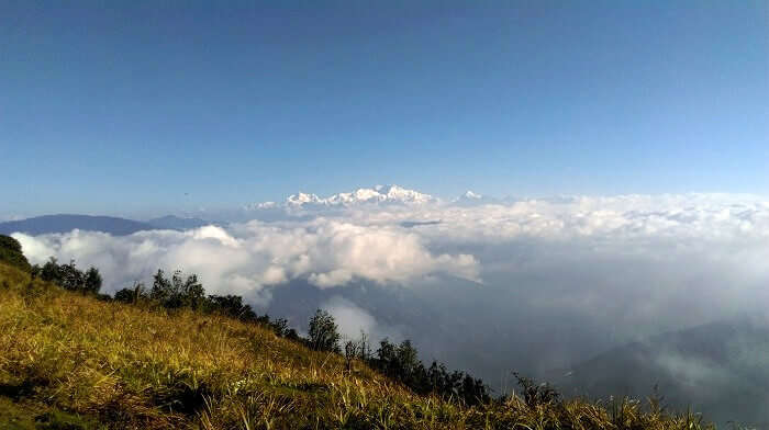 A view of the Himalayas from Sandakphu