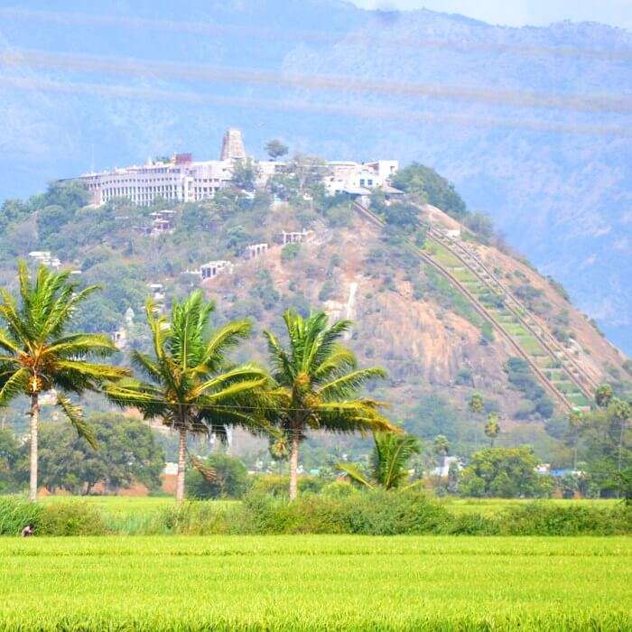 Road Trip to Ooty