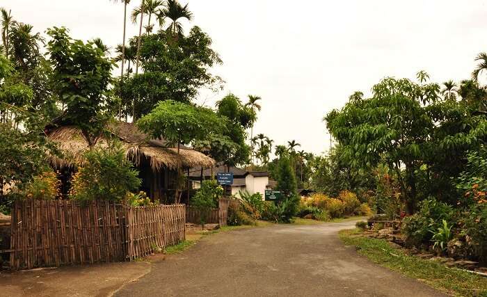 MawlynnongVillage of Meghalaya is considered to be the cleanest and the one of the most unexplored places in India