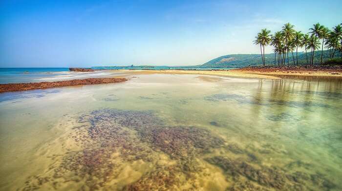 The serene coasts of Parule and Bhogwe in Maharashtra - One of the most beautiful unexplored places in India