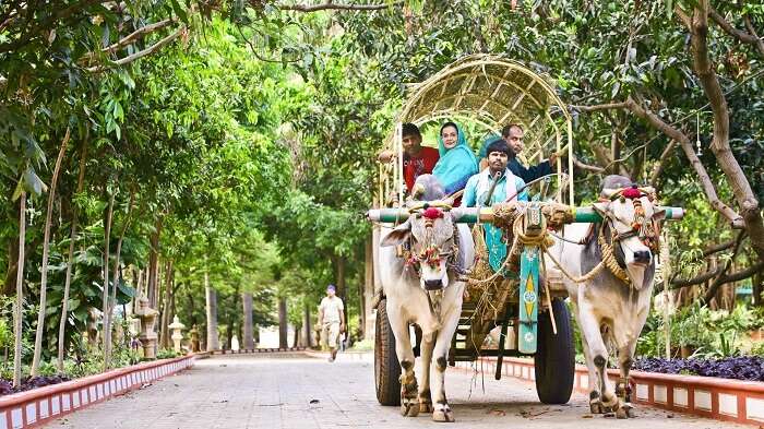 A bullock cart safari through the resort