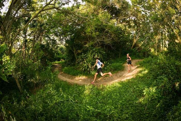 Through the greens of Rocky Bay Resorts