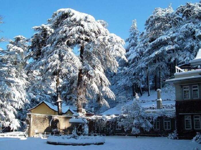 Snowcovered trees and houses in Gulmarg