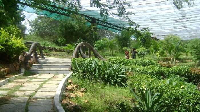 Vandalur Zoo is definitely one of the most interesting places in Chennai