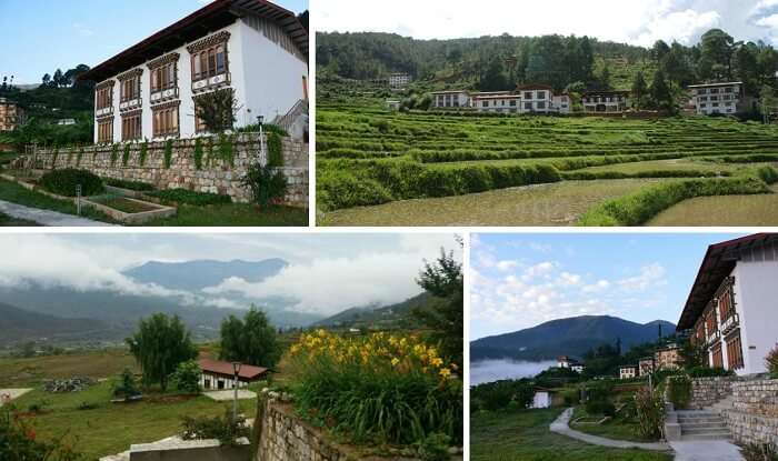A collage of the many views of Drubchhu Resort at Punakha