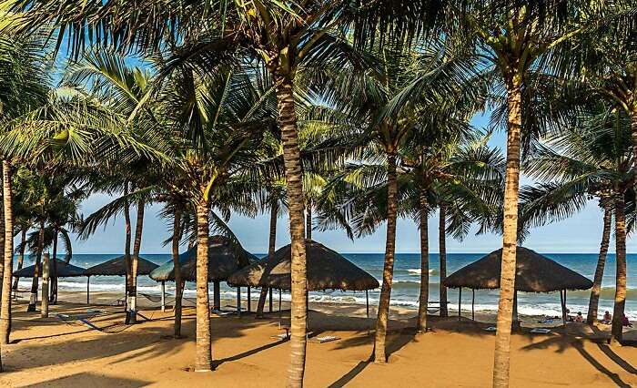 Ideal Beach Resort is among the popular beach resorts near Chennai
