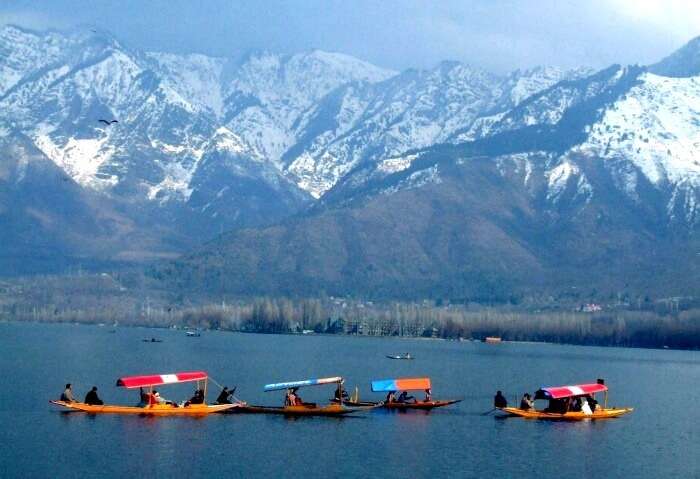 The beautiful Srinagar in Kashmir