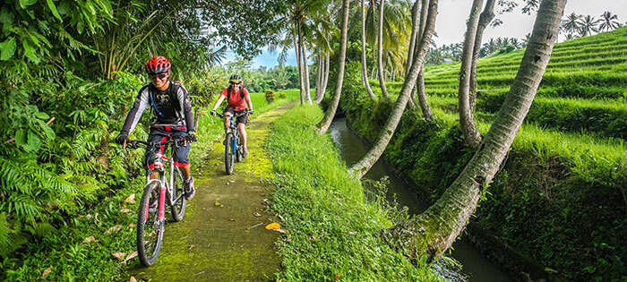 Bali Bike hiking near the paddy fields