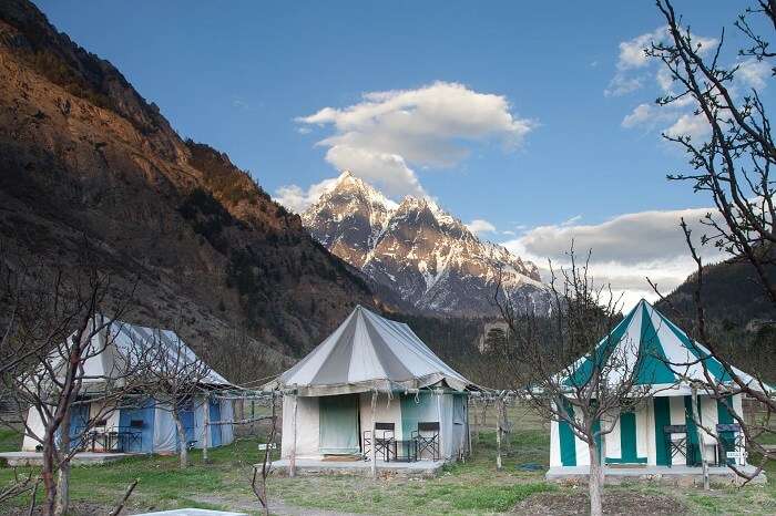 The romantic camping site at Basteri in Himachal