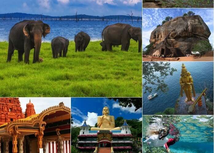 Best of Sri Lanka & Beyond