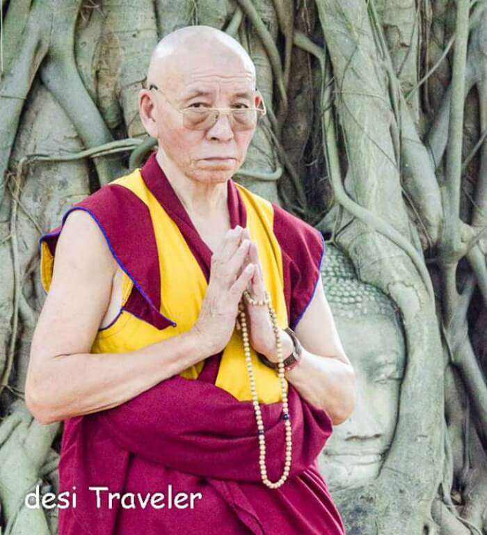 Buddhist monk at Buddha Head tree roots Thailand