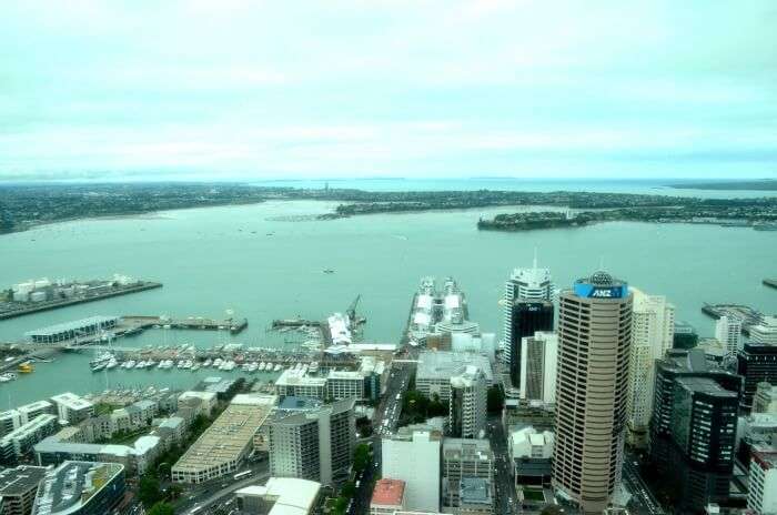 View of the beautiful Auckland city from a height