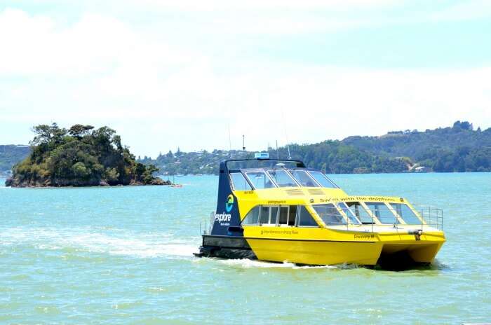 Enjoying a beautiful day in New Zealand