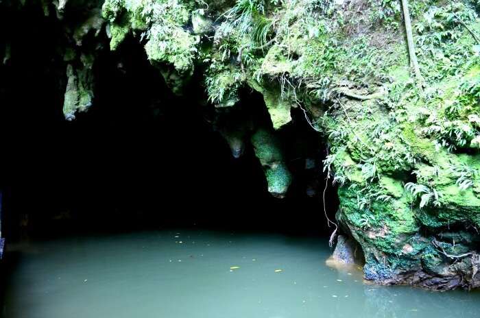 Mysterious entry to the stunning glowworm caves