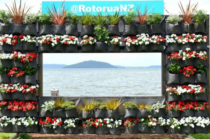 Beautiful sea and mountain view from the seaside Rotorua