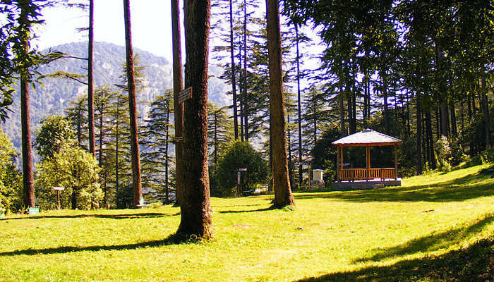 Dhanaulti in Uttarakhand