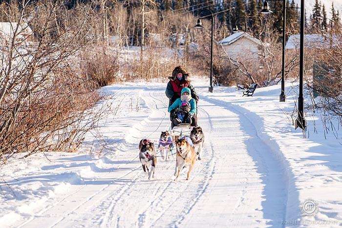 A family ride on a sleigh pulled by dogs while the sun shines in the evening