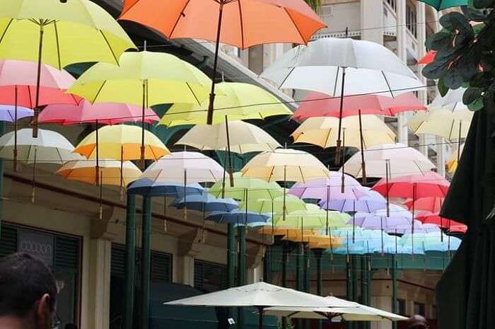 Colorful Umbrellas in market of Port Louis 