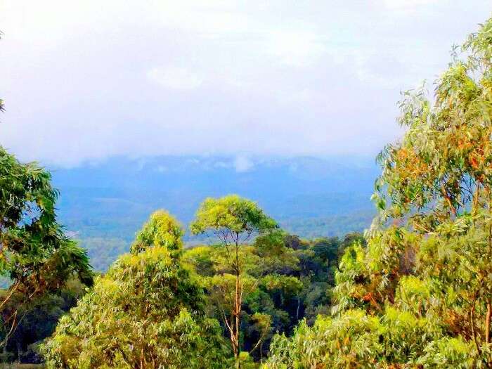 Scenic beauty of Munnar