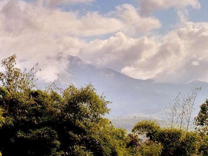 Hill view from Munnar