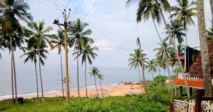 Beach and trees in Munnar