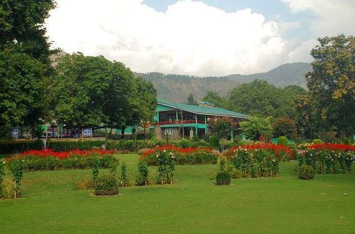 Kokernag is the best amongst all hidden romantic places in Himalayas