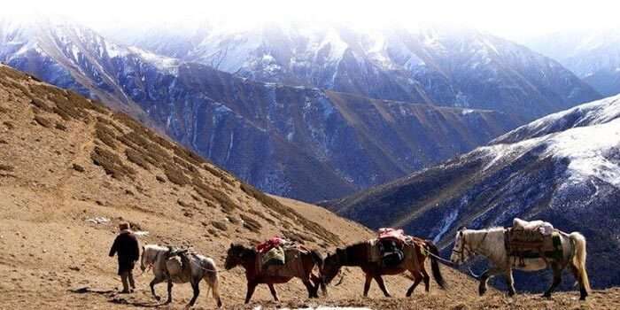 A man taking his herd through the supposedly alien inhabited Kongka La Pass