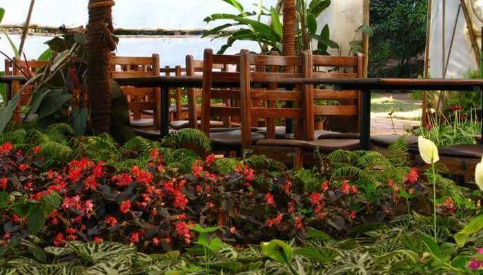 Strawberry plantation under gazebo at Mapro Gardens which is one of the best places  to visit in Mahabaleshwar
