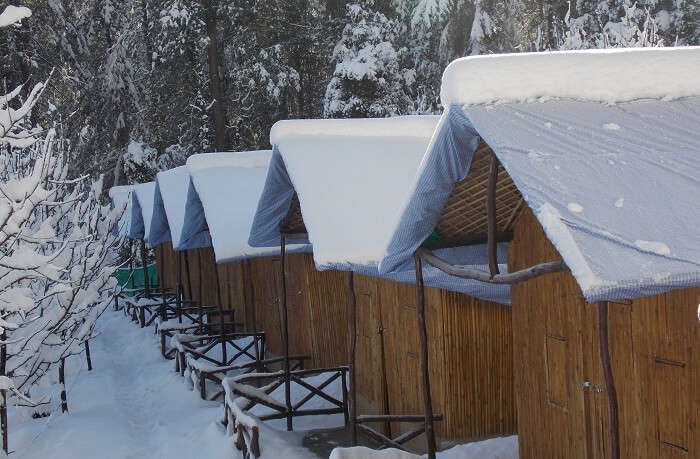 The snowy town of Mashobra in Himachal Pradesh