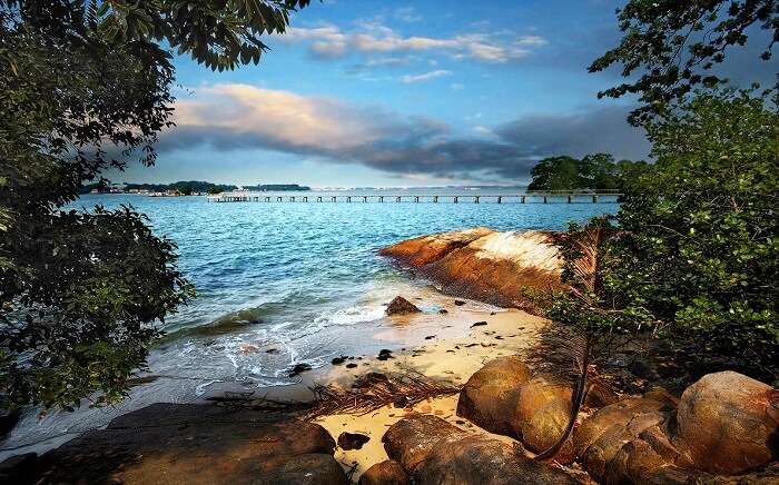 Chek Jawa in Pulau Ubin which has many decorated beaches in Singapore
