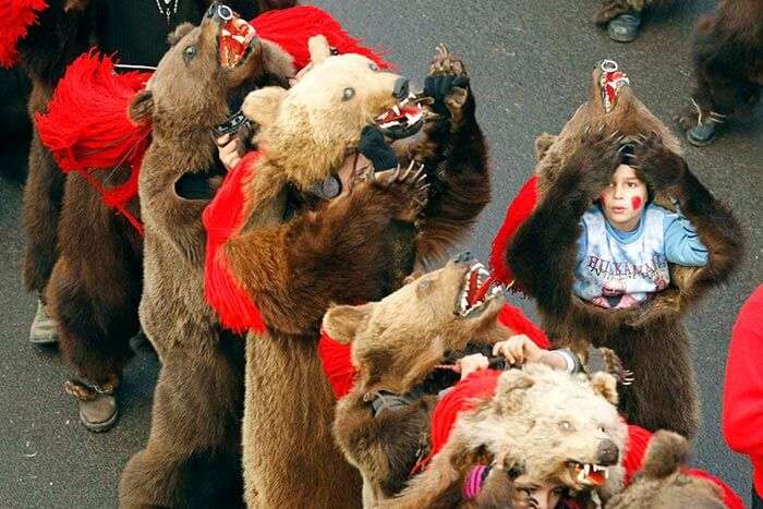 Bear dancing in Romania