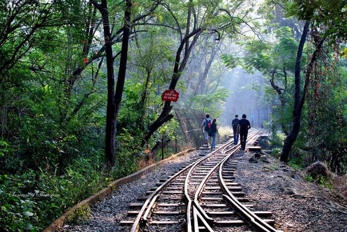 Visit Sanjay Gandhi National Park To Breathe In Fresh Air!