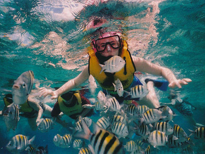 Snorkeling in Bali at cheap rates