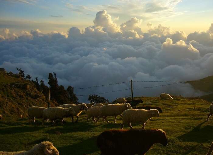 The stunning view at the tip of Triund