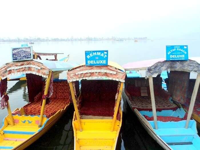 Shikara ride in Dal Lake