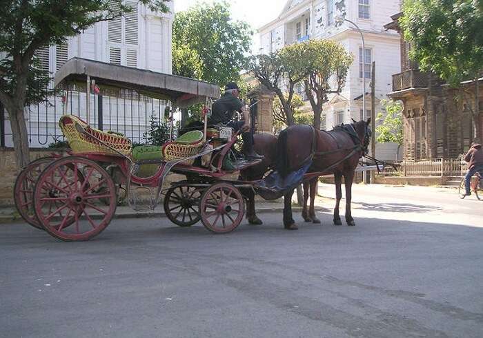 horse-carriage-princes-islands-istanbul