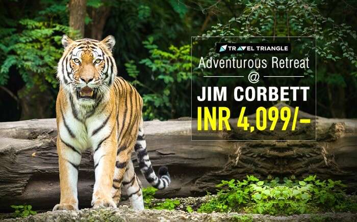 adventure retreat at jim corbett