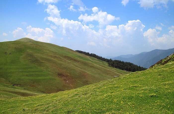 Green Natural beauty