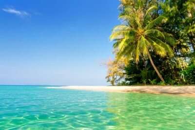 Honeymoon In Fiji