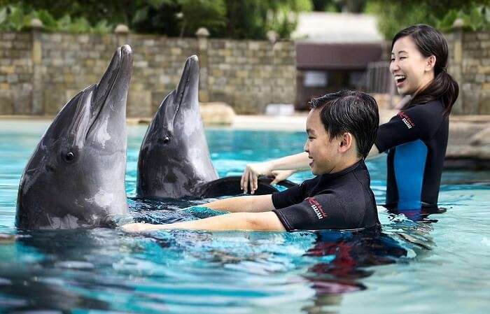 A kid having the time of his life while interacting with a dolphin in Sentosa Underwater World