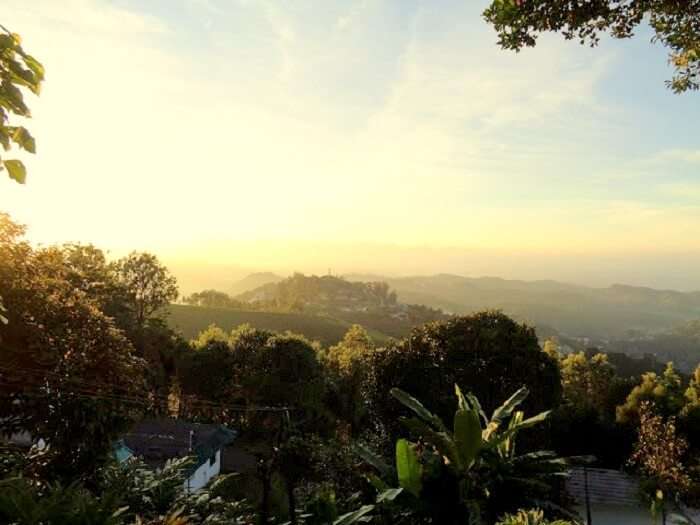 View from Munnar